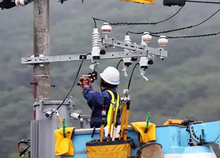 Tower Antenna Install & Riggers